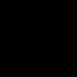 Meet your Posher, Delancey